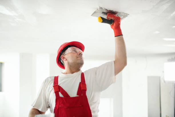 Best Residential Painting  in Bulverde, TX